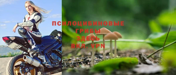 тгк Абаза