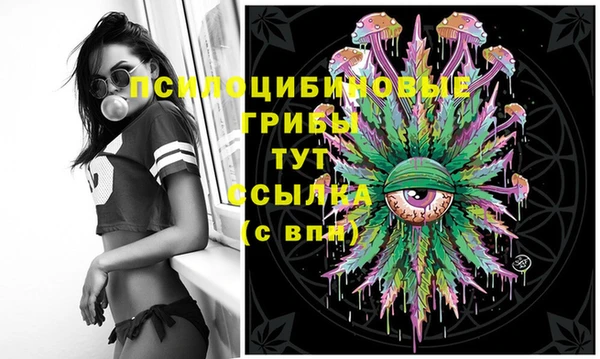 тгк Абаза