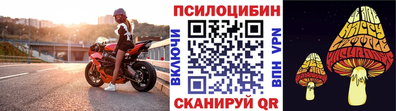 Галлюциногенные грибы Cubensis Томилино
